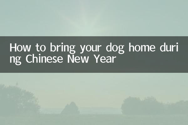 过年狗狗怎么带回家
