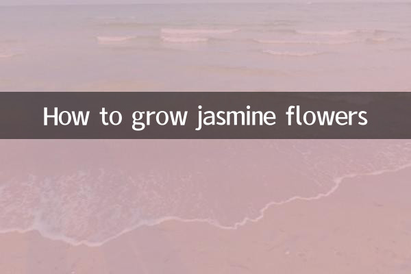 Come coltivare i fiori di gelsomino