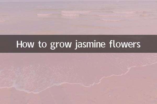 Come coltivare i fiori di gelsomino