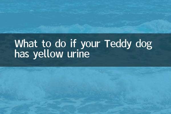 테디 강아지의 소변이 노란색이면 어떻게 해야 할까요?