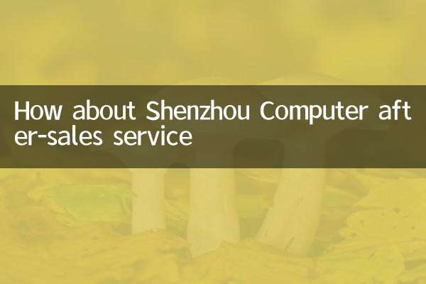 Que tal o serviço de pós-venda do computador Shenzhou