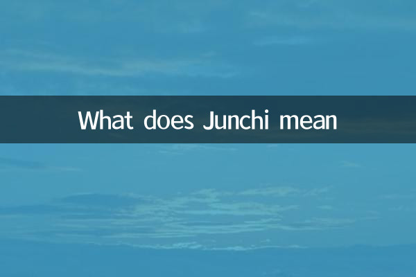 জাঙ্কি মানে কি