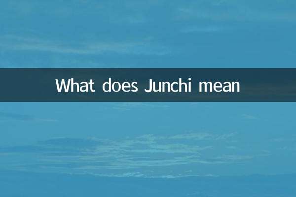 জাঙ্কি মানে কি