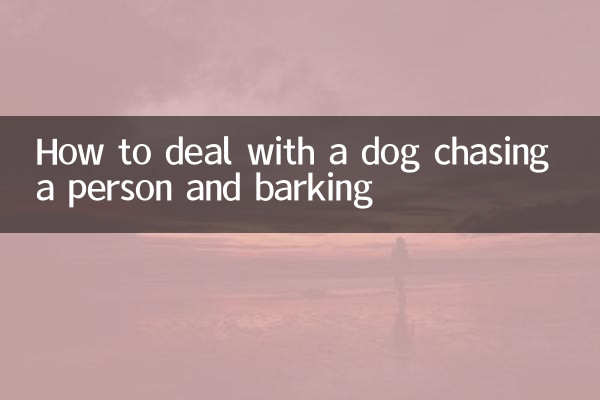How to deal with a dog chasing a person and barking