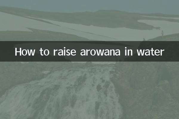 Comment élever l'arowana dans l'eau