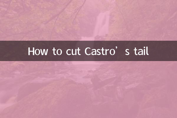 كيفية قطع ذيل كاسترو