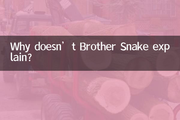 ¿Por qué el hermano Serpiente no explica?