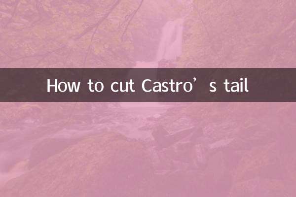 Как отрезать хвост Кастро