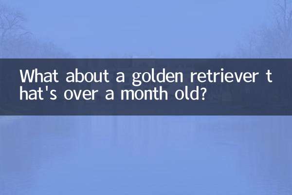 What about a golden retriever that's over a month old?