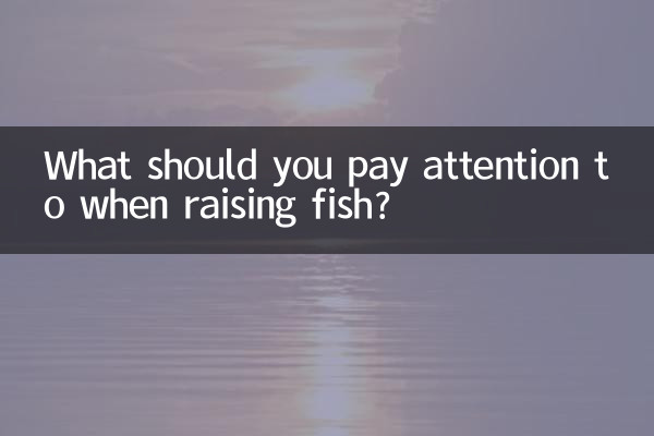 What should you pay attention to when raising fish?