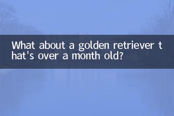Che ne dici di un golden retriever che ha più di un mese?