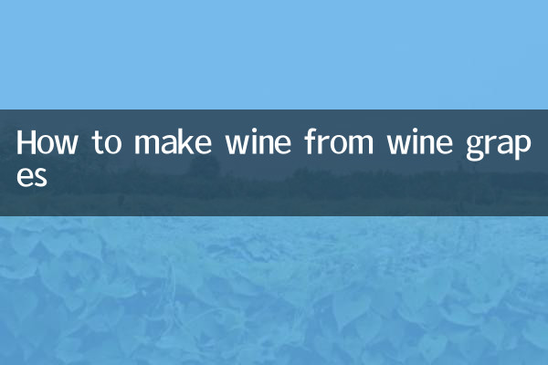 ワイン用ブドウからワインを作る方法