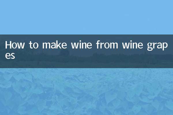 ワイン用ブドウからワインを作る方法