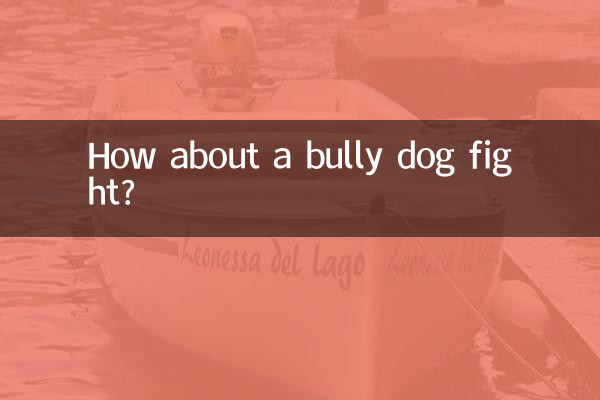 깡패 개싸움 어때요?