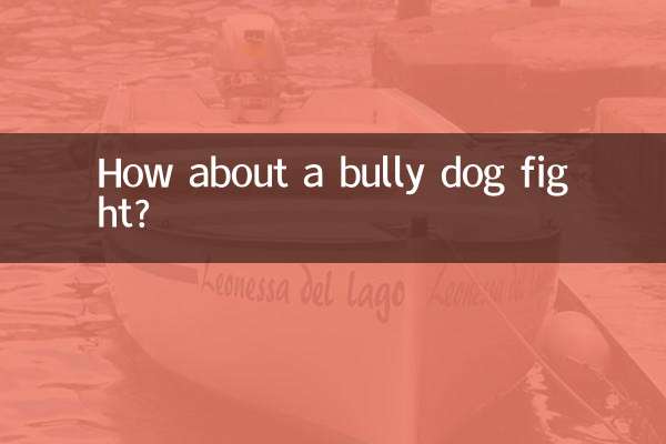 Che ne dici di una lotta tra cani prepotenti?