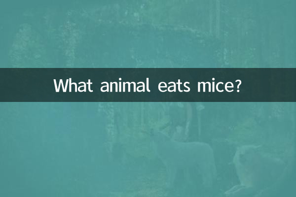 什麼動物吃老鼠
