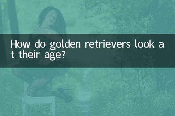 ゴールデンレトリバーの年齢はどうなっているのでしょうか？