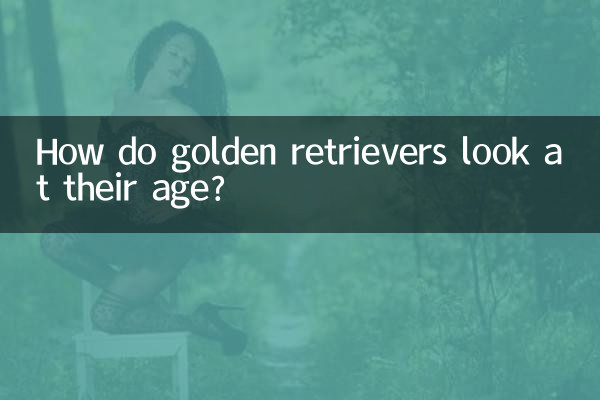 ゴールデンレトリバーの年齢はどうなっているのでしょうか?