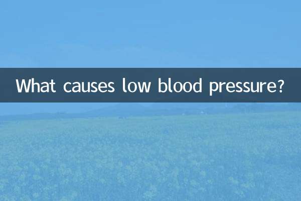 血压低压低是什么原因