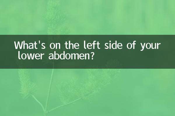 Was befindet sich auf der linken Seite Ihres Unterbauchs?
