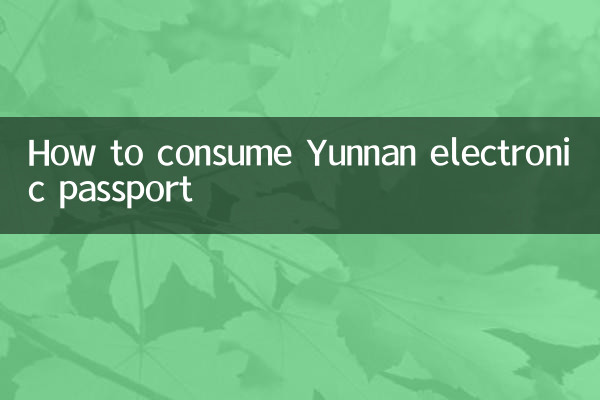 雲南電子護照怎麼消費