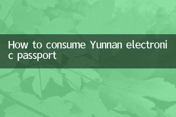 云南电子护照怎么消费