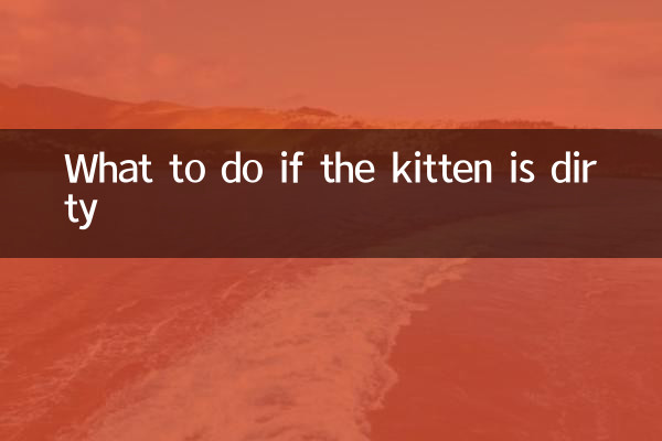 What to do if the kitten is dirty