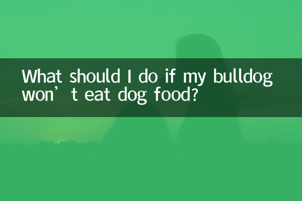 What should I do if my bulldog won’t eat dog food?