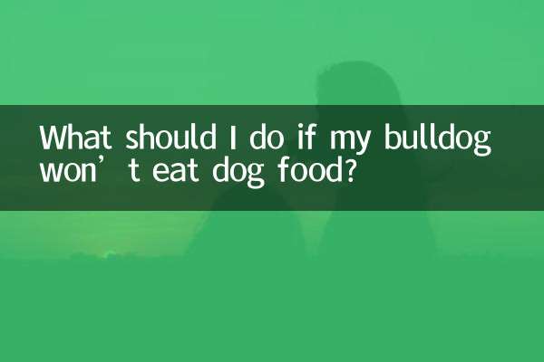 What should I do if my bulldog won’t eat dog food?