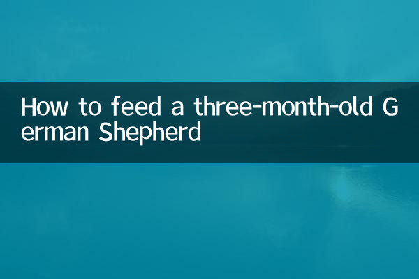 Cómo alimentar a un pastor alemán de tres meses