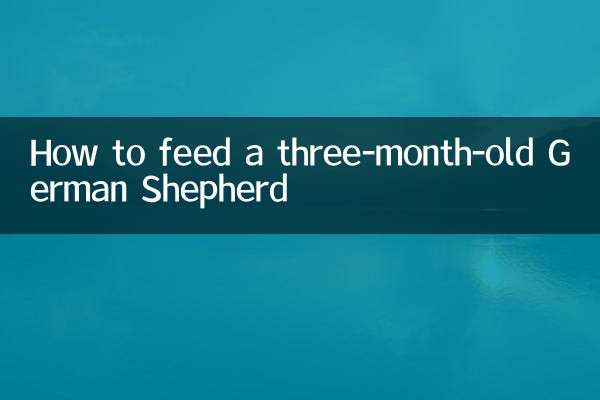 কীভাবে তিন মাস বয়সী জার্মান শেফার্ডকে খাওয়াবেন