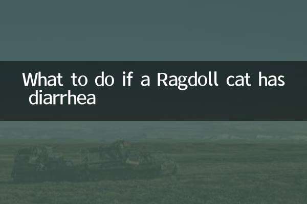 布偶貓拉稀怎麼辦