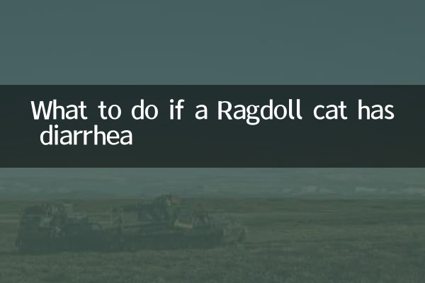 র্যাগডল বিড়ালের ডায়রিয়া হলে কী করবেন