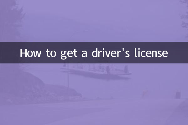 কিভাবে একটি ড্রাইভিং লাইসেন্স পেতে