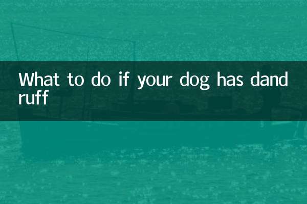 O que fazer se seu cachorro tiver caspa