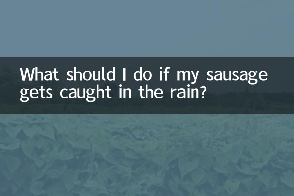 ソーセージが雨に降られた場合はどうすればよいですか?