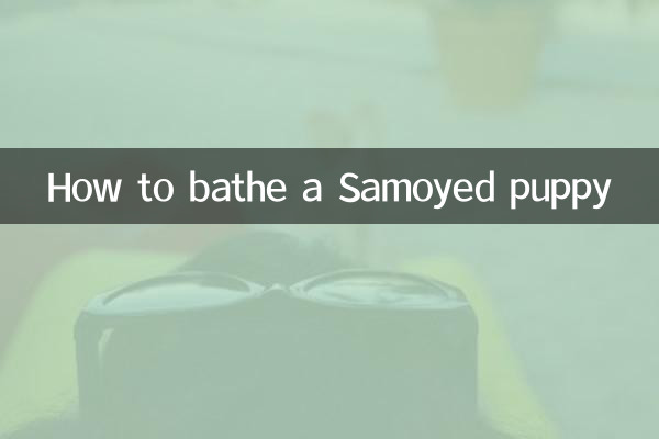 Comment baigner un chiot Samoyède