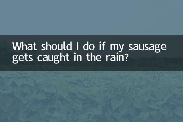 ¿Qué debo hacer si mi salchicha queda atrapada bajo la lluvia?