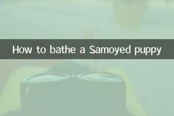 Como dar banho em um cachorrinho Samoieda