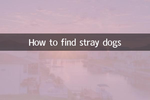 آوارہ کتوں کو کیسے تلاش کریں