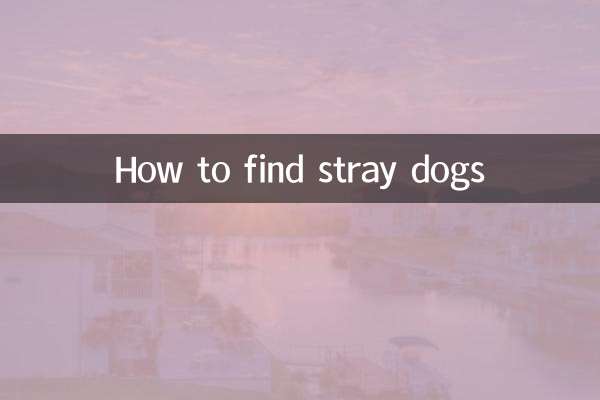 آوارہ کتوں کو کیسے تلاش کریں