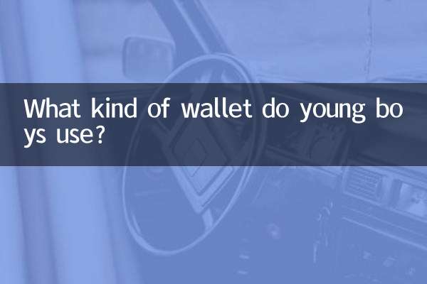 نوجوان لڑکے کس طرح کا پرس استعمال کرتے ہیں؟