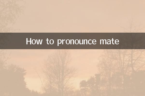 mate怎么念