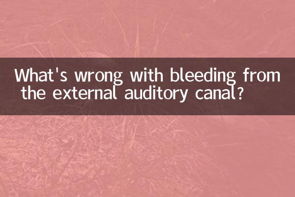 외이도 출혈의 문제점은 무엇입니까?