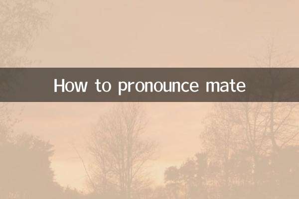 Comment prononcer compagnon