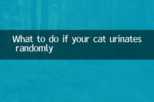 Que faire si votre chat urine de manière aléatoire