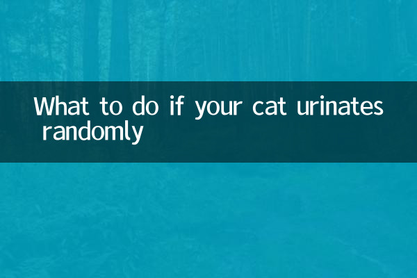 Cosa fare se il tuo gatto urina in modo casuale