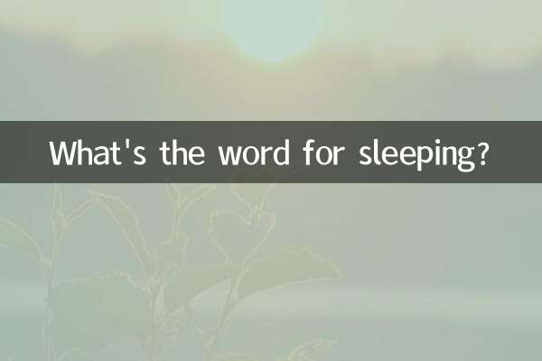 睡眠の単語は何ですか?