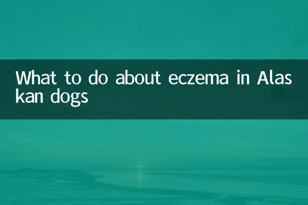 Cosa fare in caso di eczema nei cani dell'Alaska