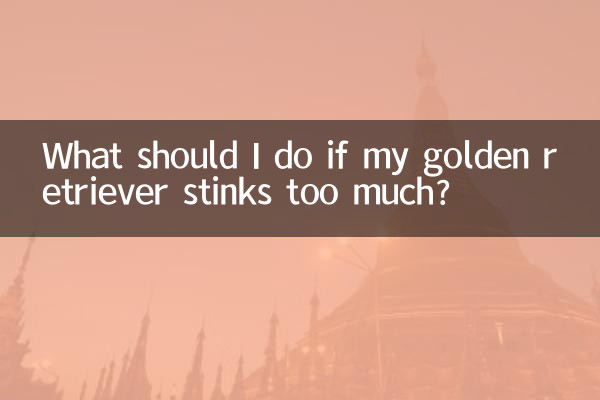यदि मेरे गोल्डन रिट्रीवर से बहुत अधिक बदबू आती है तो मुझे क्या करना चाहिए?